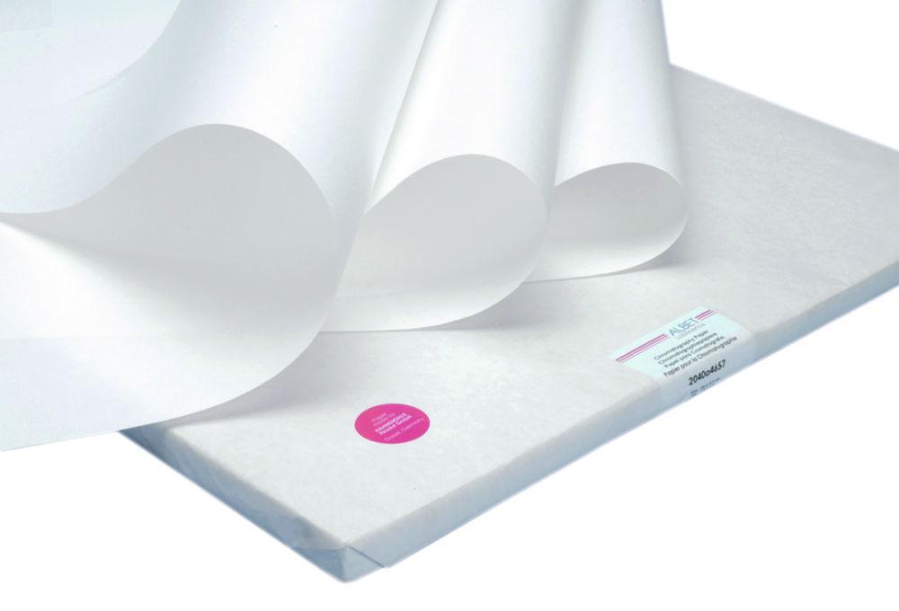 Hahnemühle Chromatography Paper 2043A, 580x600 mm Analytical, Fast, 90 g/sqm, Sheets, Pack of 100