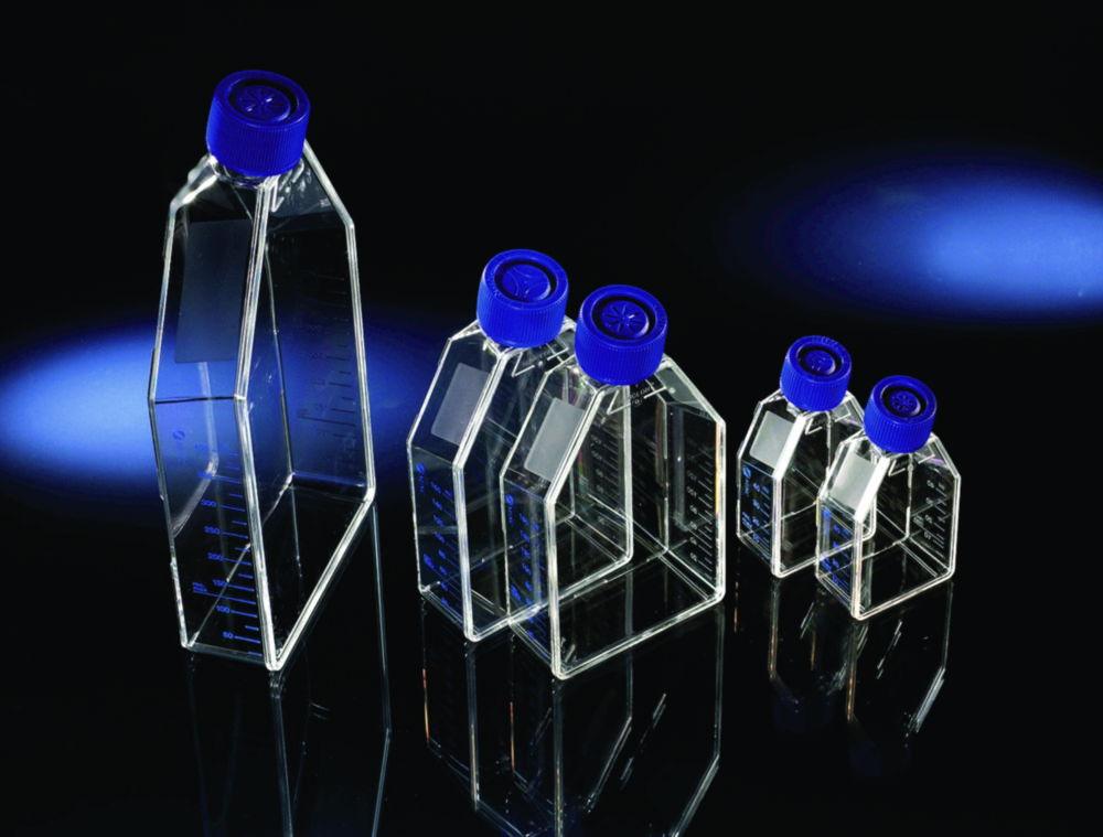 Thermo Nunc EasYFlask PS, 55 mL, 175 cm², Collagen I, Filter Caps, Sterile (Pack of 30)