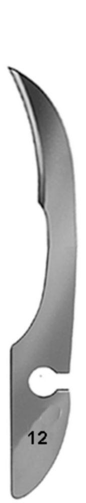C. Bruno Bayha Scalpel Blades Fig. 12 Non-Sterile (Pack of 12)