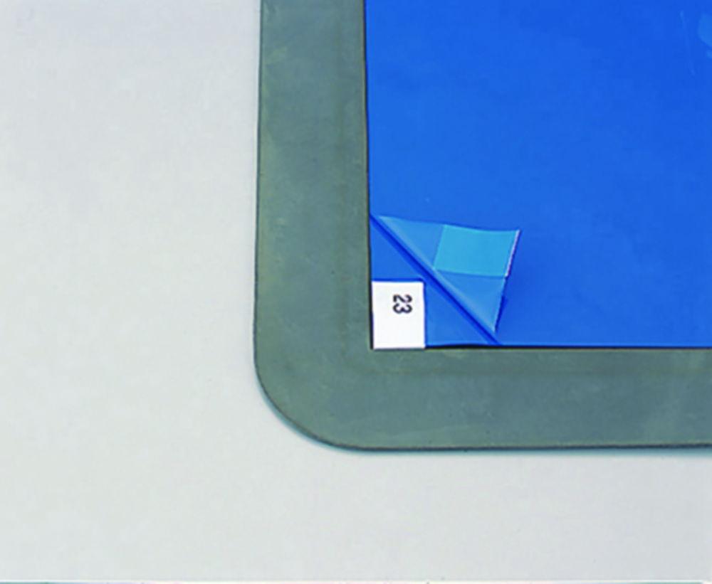 As One ASPURE Frame for Sticky Mat 450x900 mm, Plastic Type​