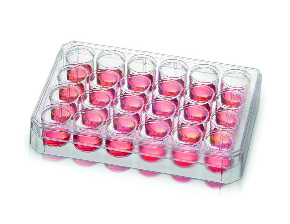 Thermo Nunc 24W Supra ST Plate with Lid, Pack of 75

