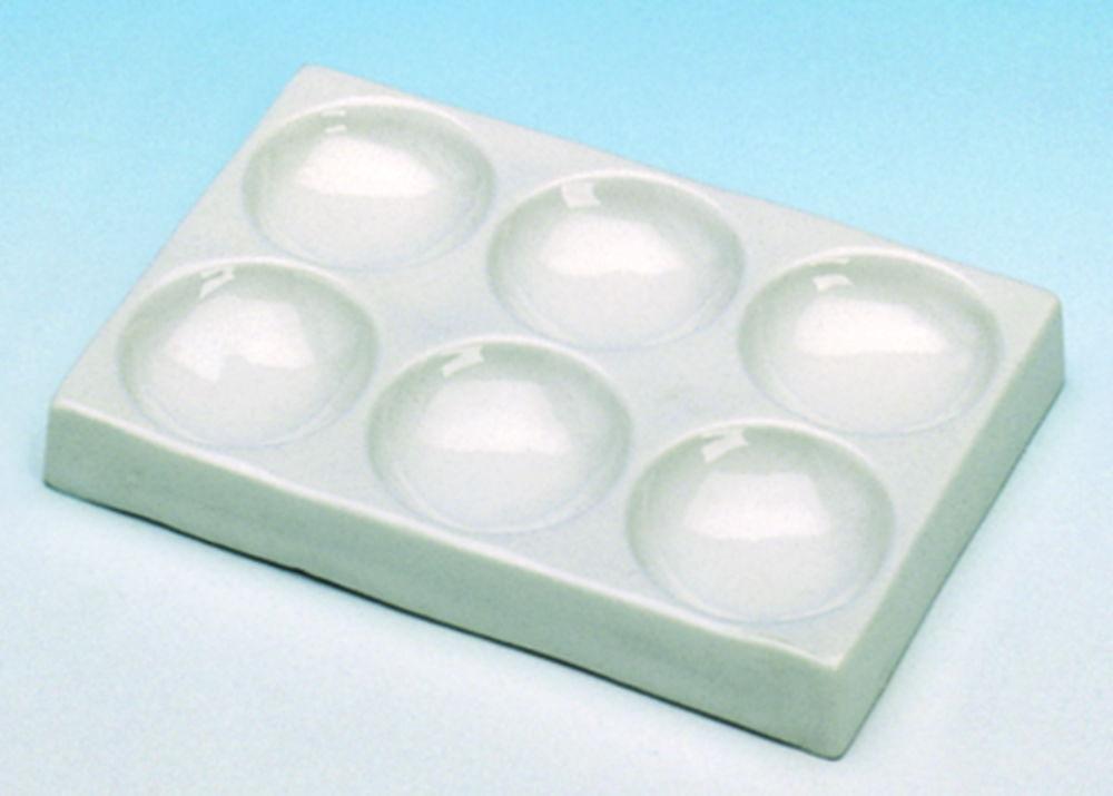 Haldenwanger Staining Plate, Porcelain, 12 Cavities, 115x85 mm