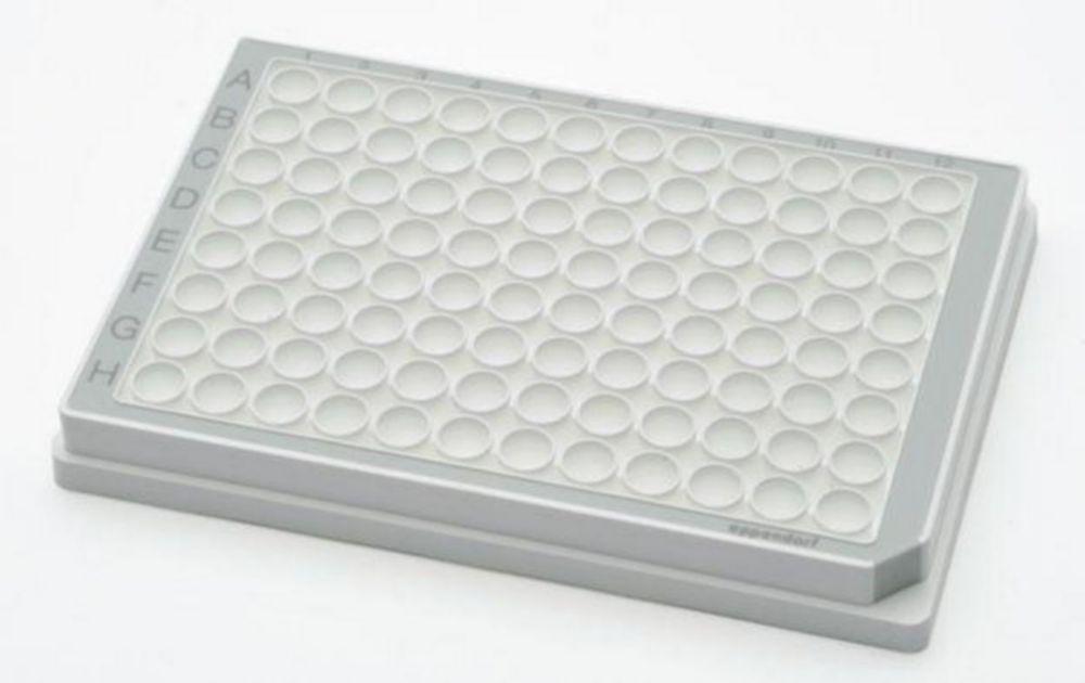 Eppendorf Microplate 96/U-PP White Wells, Border Color Grey, PCR Clean, 80 Plates (5 x 16 pcs)

