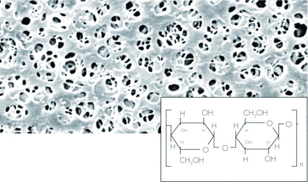 Sartorius Membrane Filters 25mm 0.45µm (Pack of 100) 18406-25-N