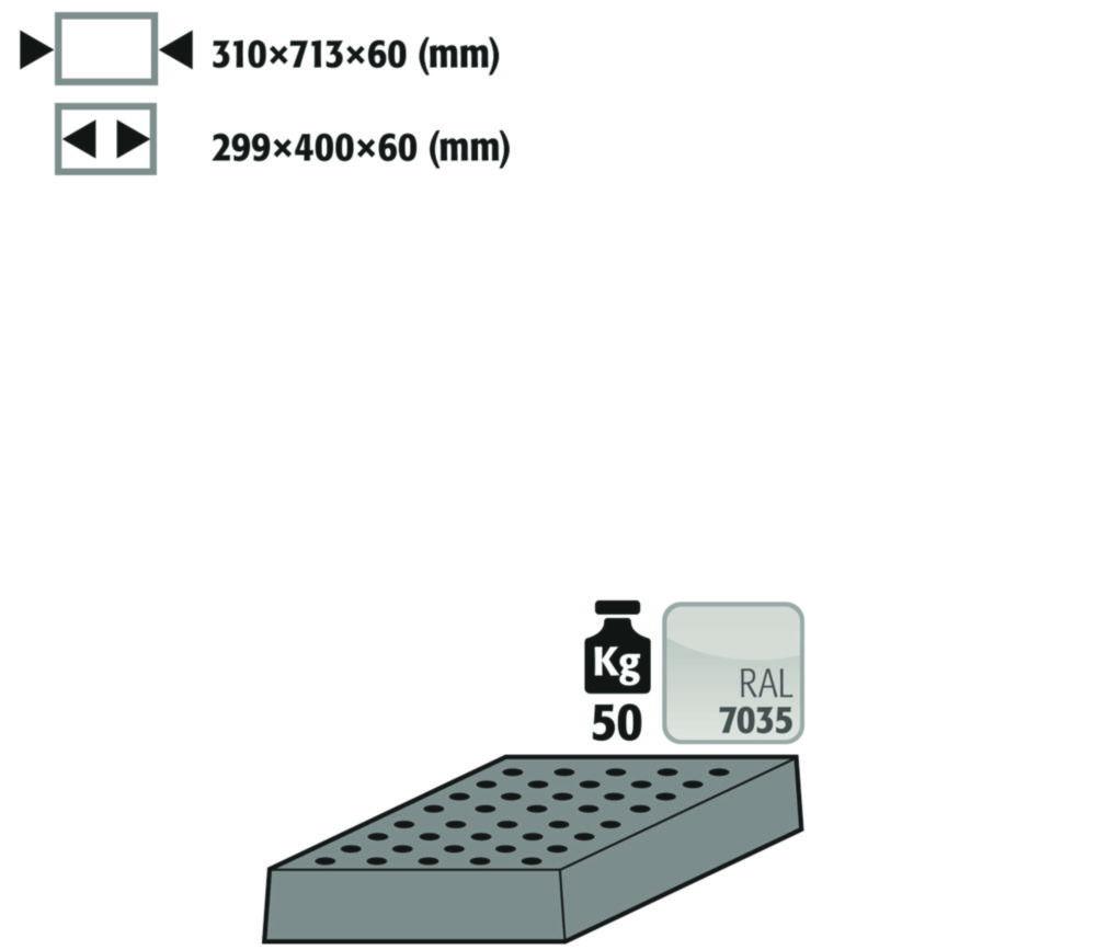 Asecos Perforated Sheet Standard 50 kg for V-MOVE RAL7035 V90 450/810mm