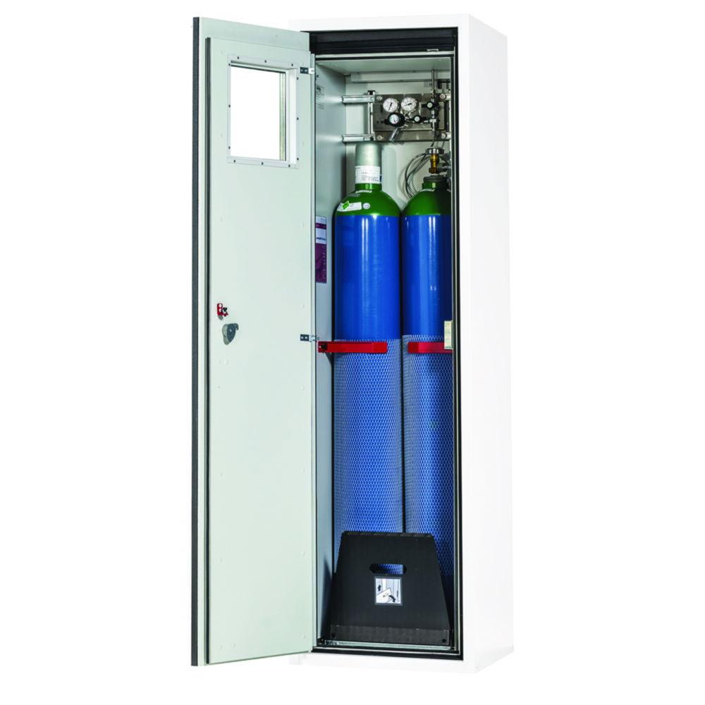 Asecos Gas Cylinder Cabinet Type G Ultimate 90 2050x600x615 with Hinged Door and F90 Glass Cut-Out