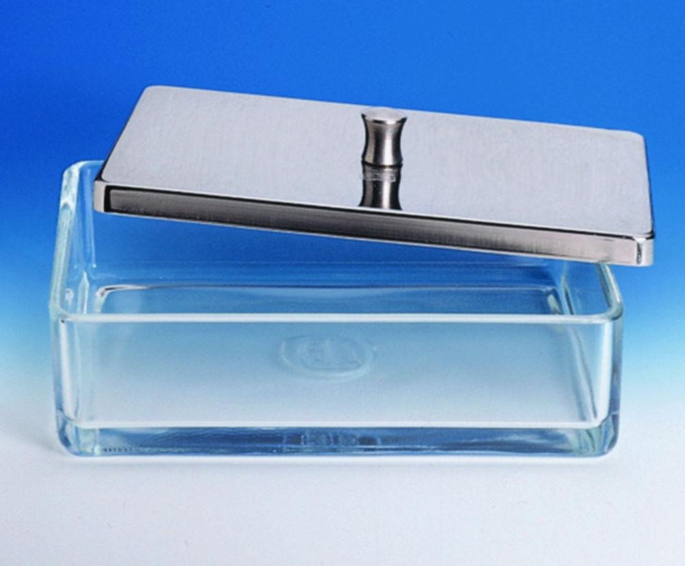 Hecht Instrument Tray, Glass 200x100x50 mm Without Cover


