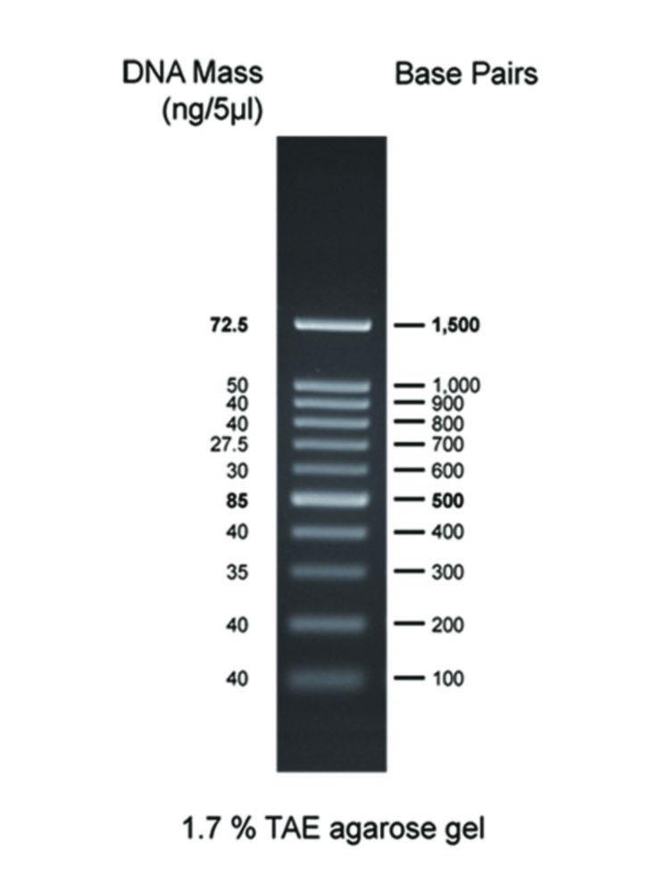 Thistle Scientific DNA Ladder 100bp 100–1500bp, 1x500 µl Vial