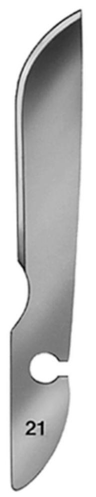 C. Bruno Bayha Scalpel Blades Type 21 Non-Sterile (Pack of 12)