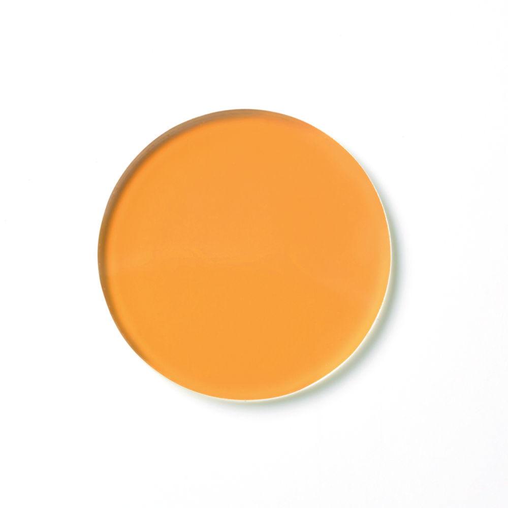 Schott Fiber Optic Adapter for Connection of Light Guides

