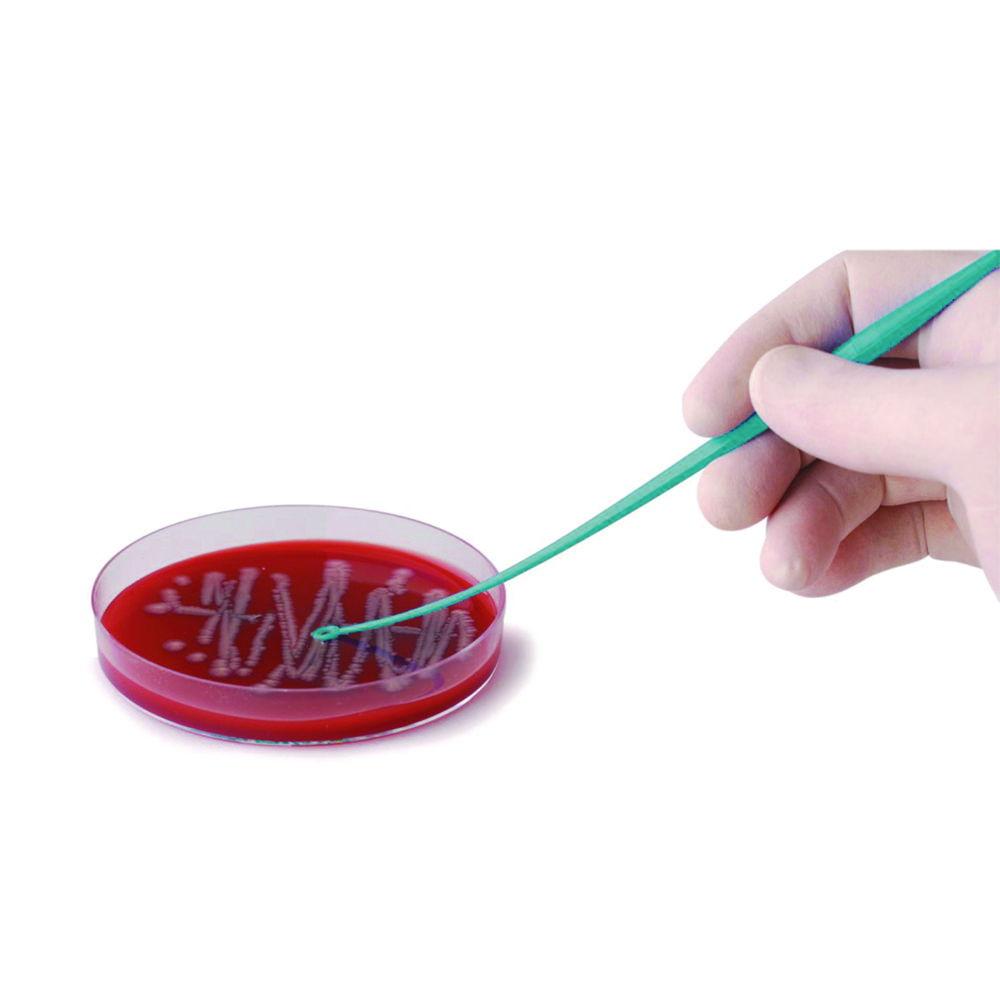 LLG Inoculation Loop PS, Sterile, One End Needle, One End Loop, 10 µL, Pack of 10