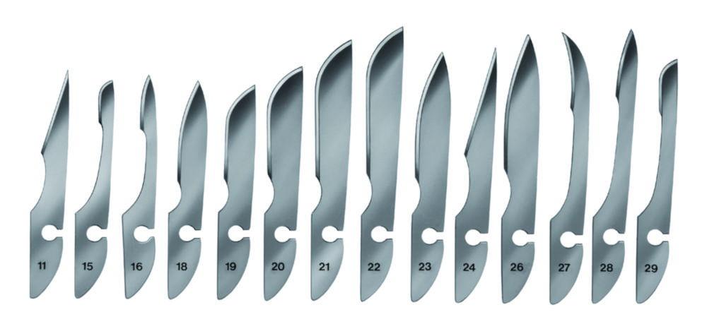 Bayha Scalpel Blades, Type 22, Sterile, Pack of 12 Blades