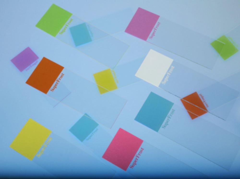 Epredia Superfrost OT Microscope Slides 76x26 mm, 1.0 mm Cut Edges, Yellow (Pack of 50)