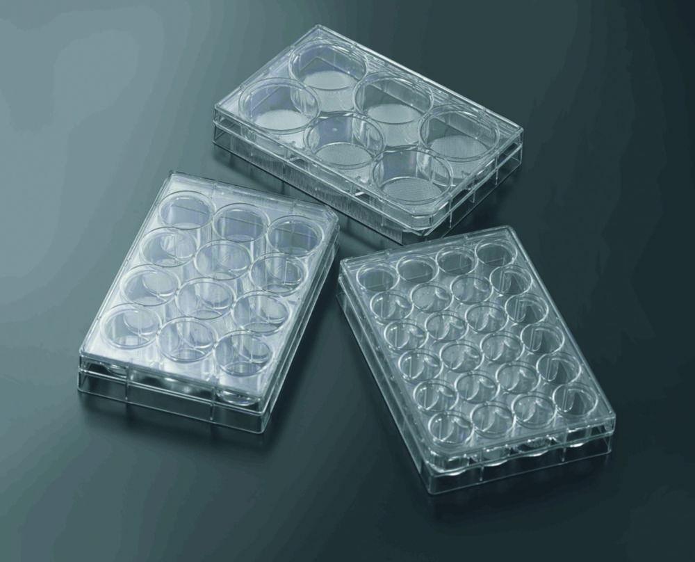 3D Cell Culture Plate CellSCAFLD® 15,0x1,6mm pack of 8