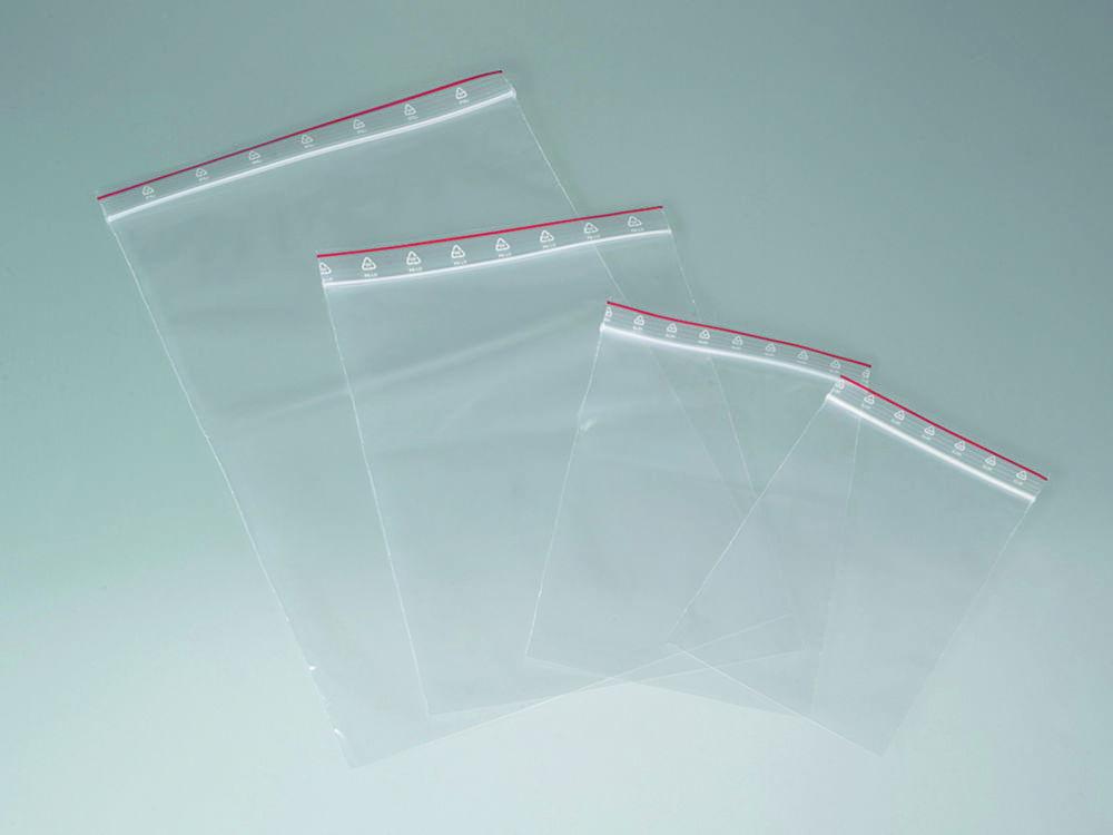 Bürkle Packing Bags 400x300mm, 6500ml, PE, Pack of 100